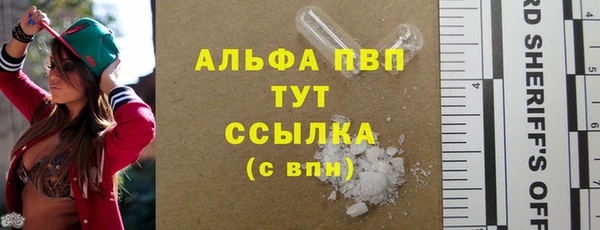 мдпв Магас
