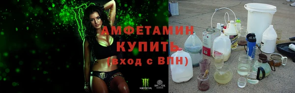 мдпв Магас