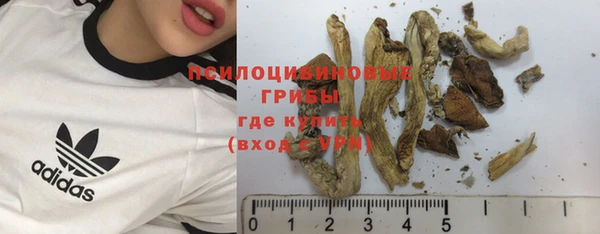 мдпв Магас
