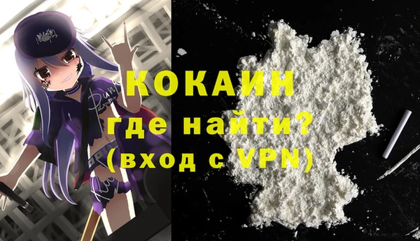 мдпв Магас